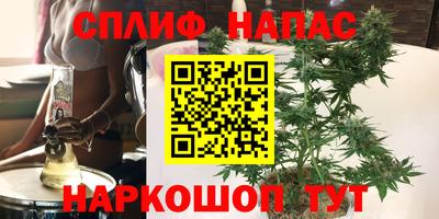 сатива Азнакаево