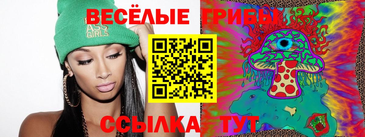 Псилоцибиновые грибы Psilocybe Анапа
